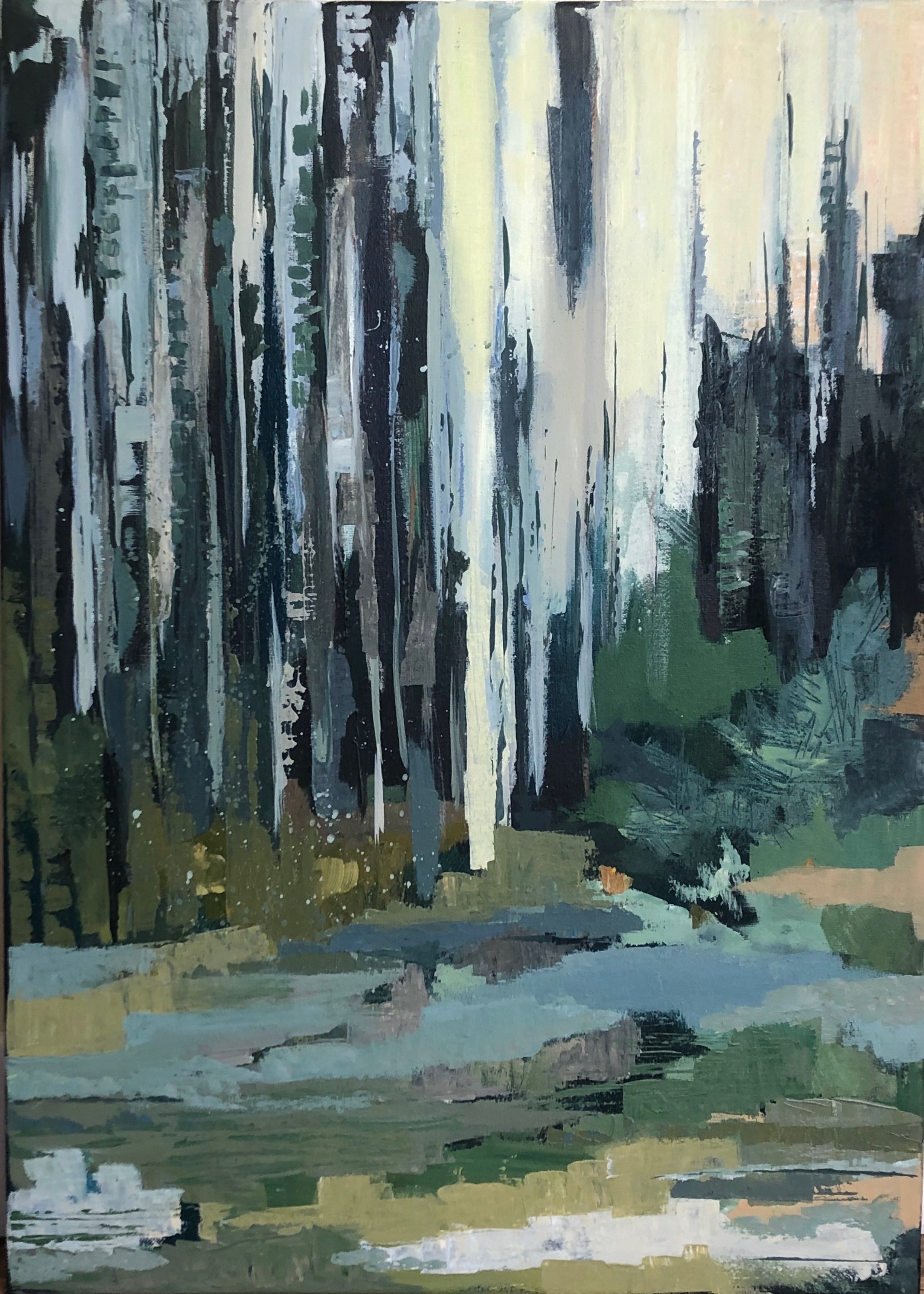 Swedish forrest